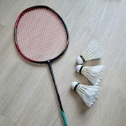 Badminton