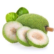 Breadfruit (Papua New Guinea)