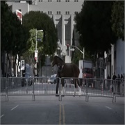 Budweiser: "Brotherhood"