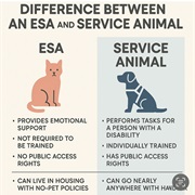 Emotional Support Animal
