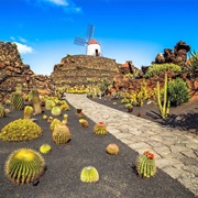 Lanzarote, Canary Islands, Spain