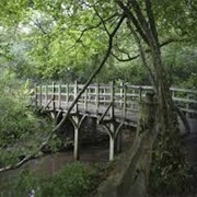 Hundred Acre Wood (England)