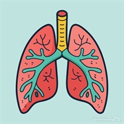 Respiratory Condition