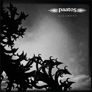 Paatos - Chemical Escape