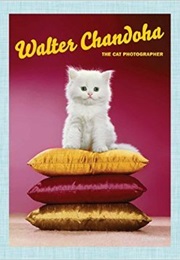 Walter Chandoha: The Cat Photographer (Walter Chandoha)