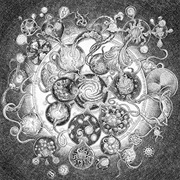 Long Distance Calling - Timebends