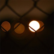 Fluxion - Vibrant Forms I