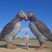 Two Giant Puffins, Jersey
