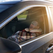Sleep in Car