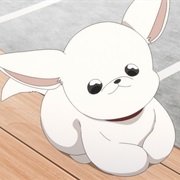 Pochi (Tamon's B-Side)