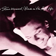 Back in the High Life - Steve Winwood