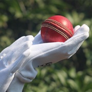 Cricket