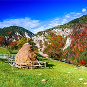 Piatra Craiului, National Park, Romania