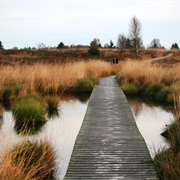 High Fens-Eifel, Nature Park, Belgium