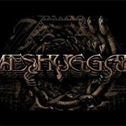 Meshuggah - Do Not Look Down