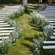 Serpentine Aisle at Wedding