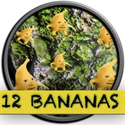 12 Bananas