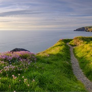 Pembrokeshire Coast Nationalpark, UK