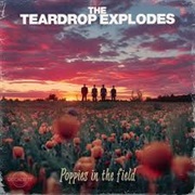 The Teardrop Explodes - Poppies in the Field