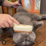 Allows You to Brush It's Fur