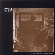 Swell Maps - Blenheim Shots