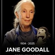 Jane Goodall Dies
