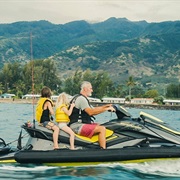 S2.E6: Force Majeure