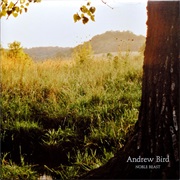 Tenuousness - Andrew Bird
