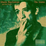 Shane MacGowan & the Popes - The Snake