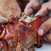 S9.E9: Dominican Republic