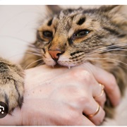 Does Not Want You to Leave