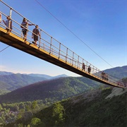 Gatlinburg Skybridge, Tennessee, USA