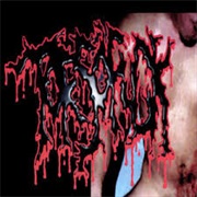 High Level Cannibalistic Violence - Torsofuck