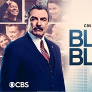 Blue Bloods Season 12