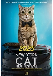 NY Cat Film Festival (2025)