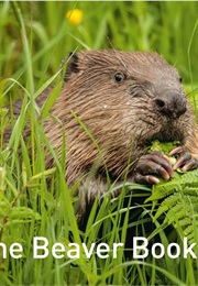 The Beaver Book (Hugh Warwick)