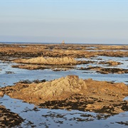 La Rocque