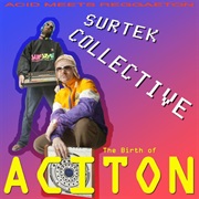 Surtek Collective - The Birth of Aciton