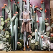 Build a Window Display