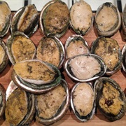 Abalone