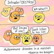 Autoimmune Disease