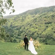 Wedding in Meadow
