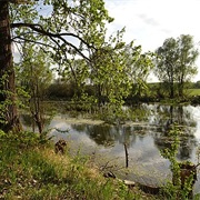Groß-Zimmern, Germany