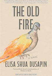 The Old Fire (Elisa Shua Dusapin)