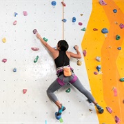 Rock Climbing Wall