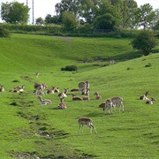 Schmallenberg, Germany