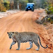 Wilpattu National Park