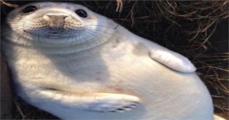 Cami&#39;s Favorite Movies (And Some Shows) as of July 2025