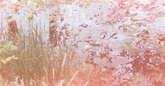 Eden&#39;s Eyes Have Seen