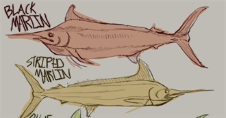 Saturn&#39;s Bitch Bash